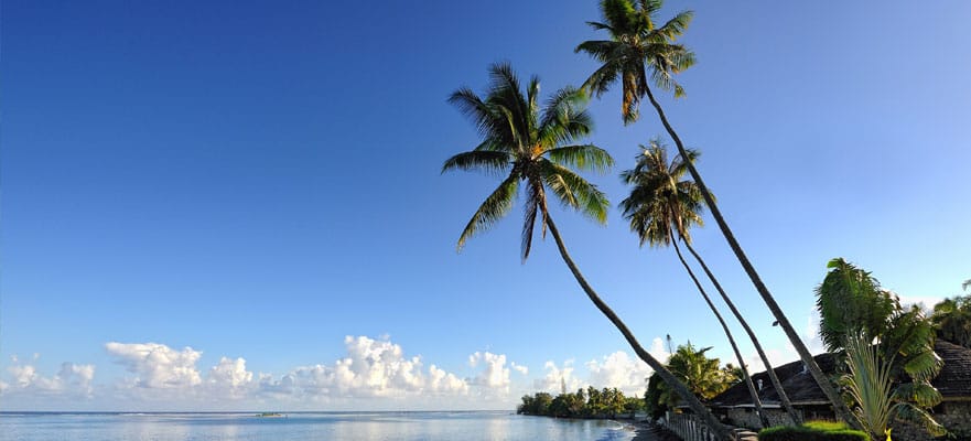 /sites/default/files/PPT_MW_881x400  - 03.jpg